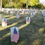 Veterans' Day flags at Fairview Cemetery