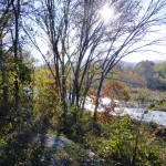 Photo of Lee's Creek