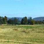 Photo of Prairie Grove Battlefield, taken November 2014