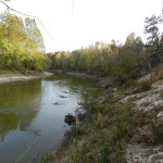 Chalk Bluff, St. Francis River