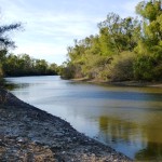 St. Francis River near Marked Tree